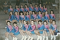 Societa' 1994b